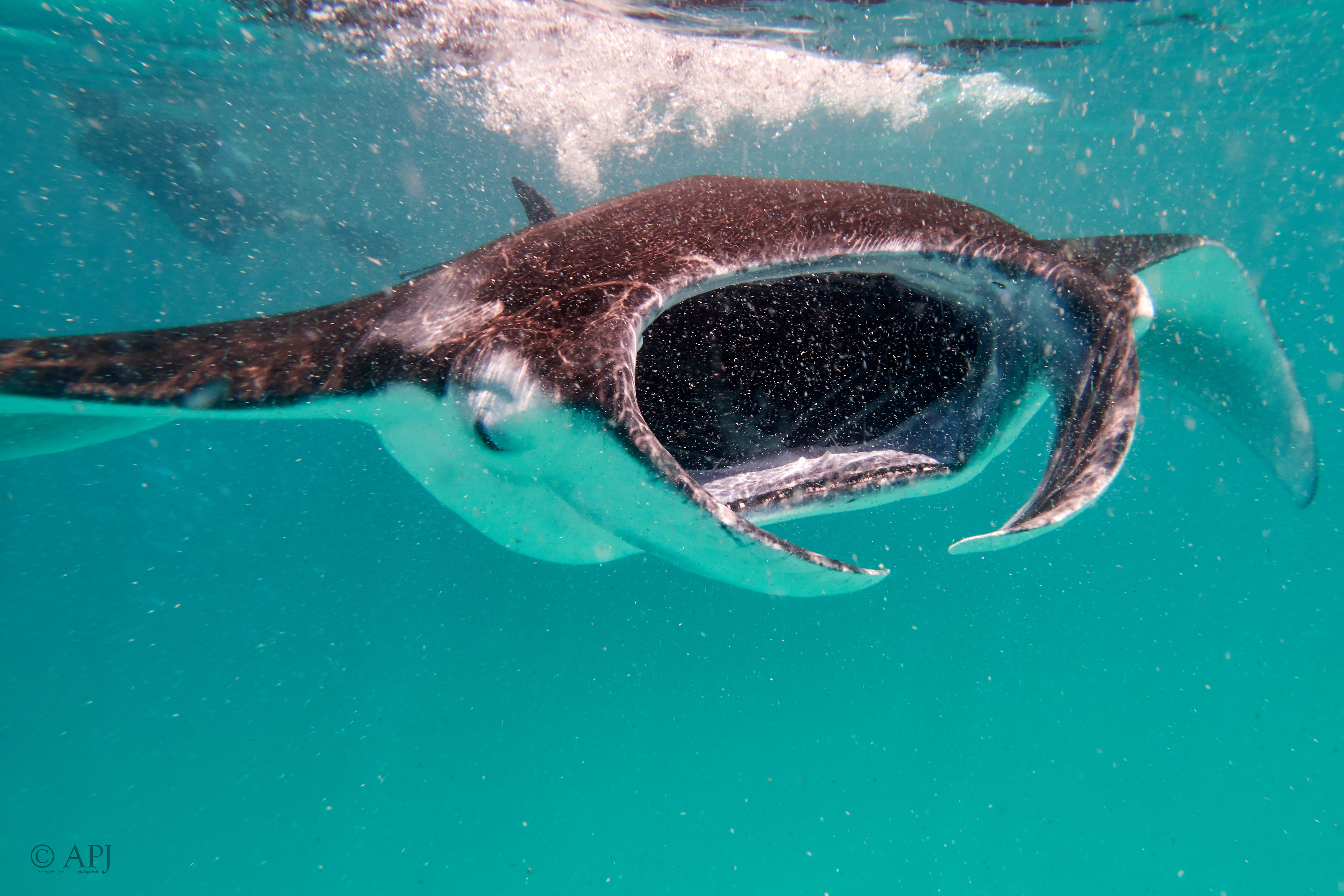 001878 16 08 17  Canon PowerShot G7 X Mark II   Malediven2017 1